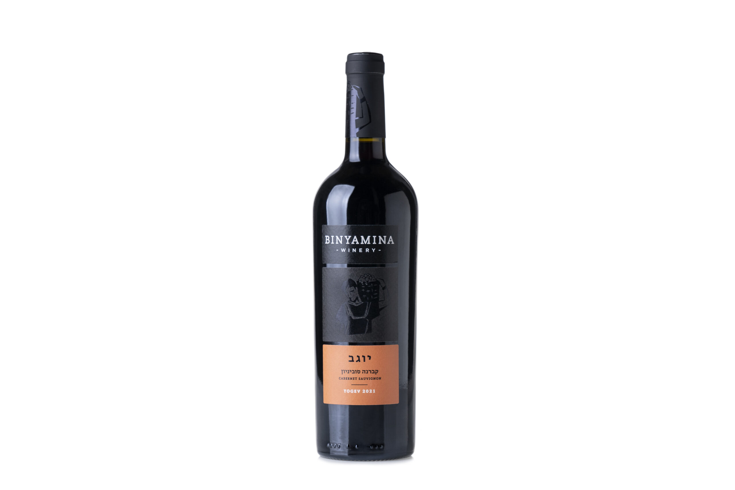 Binyamina - Yogev Cabernet Sauvignon