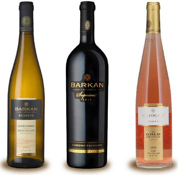 bodega-vinos-barkan