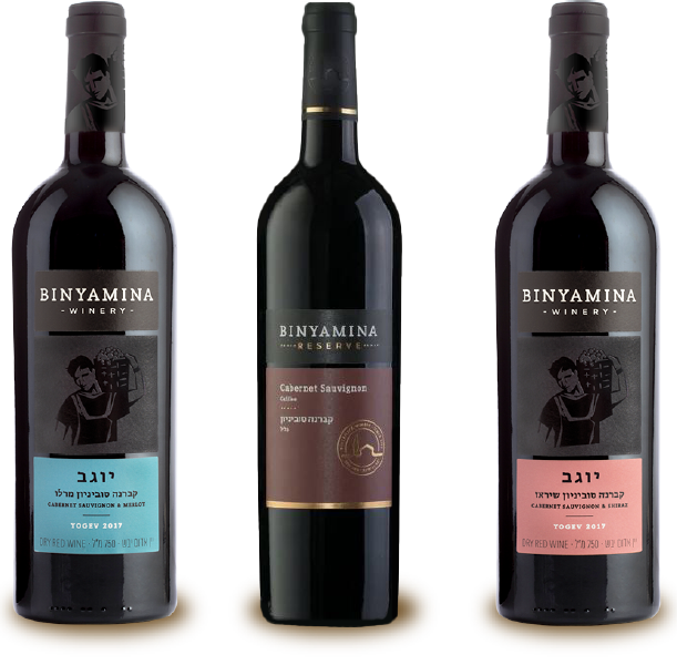 bodega-vinos-binyamina